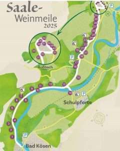 Saale-Weinmeile zwischen Roßbach und Bad Kösen | 1000 mal Naumburg (Saale)